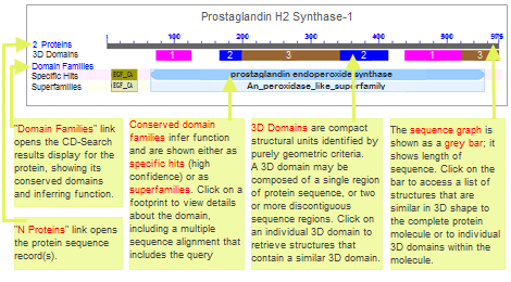 sample sequence graph showing the features annotated on the Prostaglandin H2 Synthase-1 protein, such as conserved domain families, which infer function, and 3D domains, which are compact substructures that are used to identify similar 3D structures. The protein is a component of the prostanglandin H2 synthase structure, 1PTH. Click on the image to open the MMDB structure summary record for 1PTH, which in turn includes a live, clickable protein annotation graphic