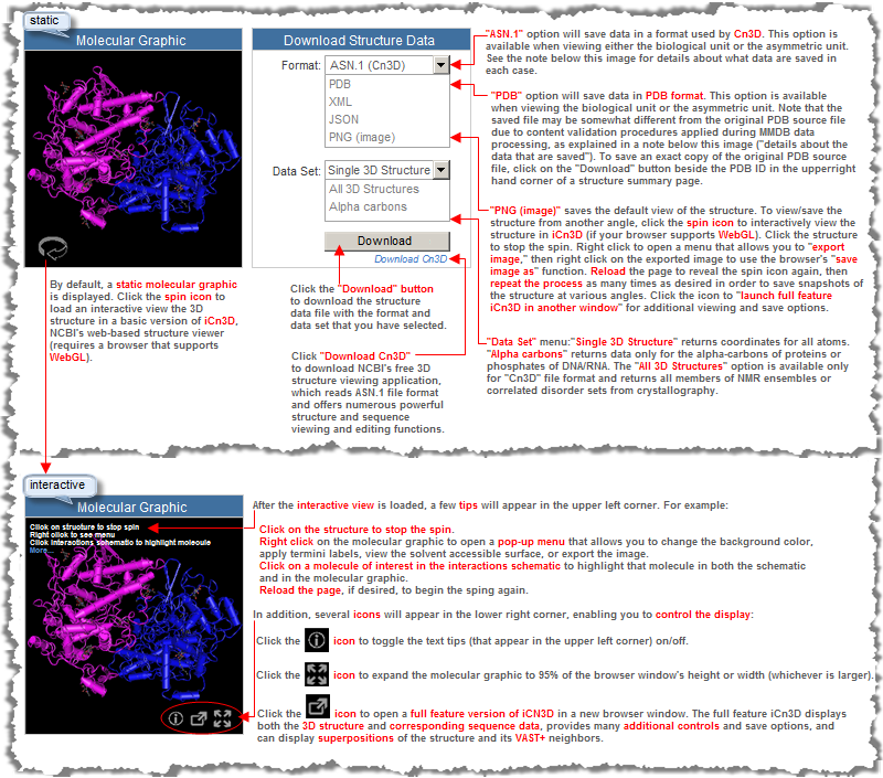 Illustration showing how to save a structure record in ASN.1 format or PDB format by selecting the desired options from the Program, Tasks, and Complexity menus in the See in 3D/Save box on a structure summary page.