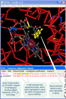 Thumbnail image of Prostaglandin H2 Synthase from sheep (accession 1PTH), showing 3D structure of active site and corresponding protein sequence data.  Click on image to read more about interactive displays of sequence-structure relationships and how can 3D structures be used to learn more about proteins and other biomolecules.