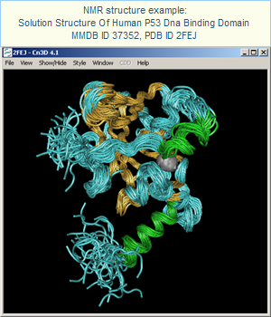 NMR (Solution) Structure Of Human P53 Dna Binding Domain (MMDB ID 37352, PDB ID 2FEJ). Click on this image to open the MMDB record, which provides access to the corresponding publication and interactive views of the structure in Cn3D. Select the Drawing: All Models option on the MMDB record before pressing the Structure View in Cn3D button to generate this view.