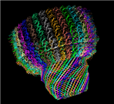 Thumbnail image of the rat liver vault, in which the data from the three PDB split files have been merged together to provide a 3D view of the complete data set, shown here in MMDB ID 99596.
