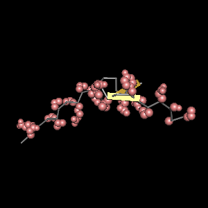 Conserved site includes 24 residues -Click on image for an interactive view with Cn3D