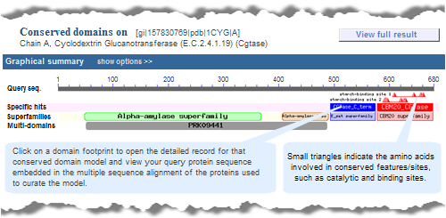 Thumbnail image of a CD-Search results concise display, which shows only the top-scoring hits for each region of the query sequence (1CYG_A, Cyclodextrin Glucanotransferase).  Click on image to jump to a larger, annotated version in this help document.