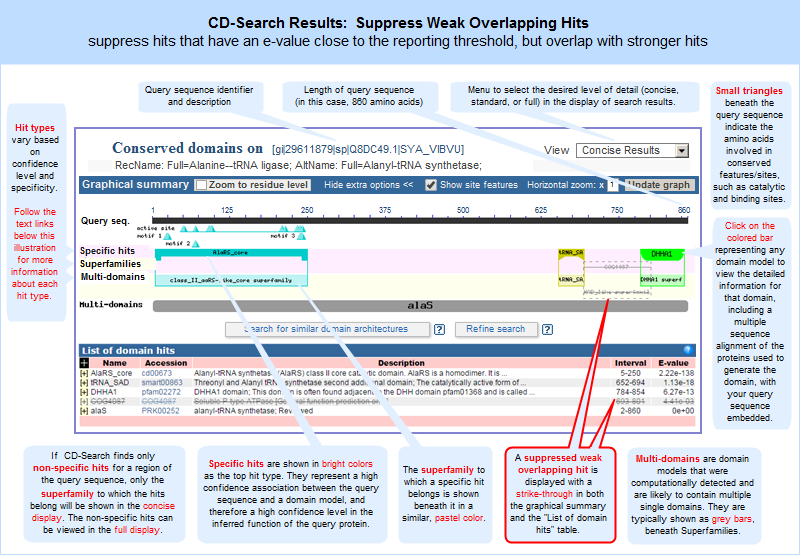CD-Search results showing suppression of a weak overlapping hit on the query sequence (Q8DC49, GI 29611879, Alanine--tRNA ligase) as of April 24, 2015. Click anywhere on the graphic to open the current, interactive CD-Search results page. Note that the live web page may look different from the illustration shown here, because the Conserved Domain Database continues to evolve with the addition of new data and the refinement of algorithms to identify specific hits and superfamilies. However, the concepts shown in the illustration remain stable.