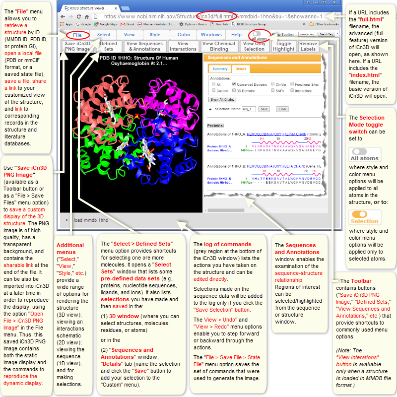 Annotated illustration of the controls available in the advanced (full feature) version of iCn3D, featuring 1HHO (human oxyhemoglobin) as the example structure