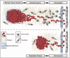 Figure 1.. The metastatic cascade.