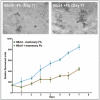 Figure 2.. Mammary fibroblasts promote the growth of mammary carcinoma cells in 3D culture.