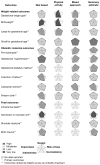 FIGURE 37. Graphic display of the evidence quality for the effect of various interventions on weight-related and clinically important outcomes.