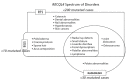 Figure 1. . Diagram showing overlapping and unique clinical features of the RECQL4-associated disorders.