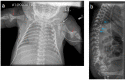 Figure 3. a.