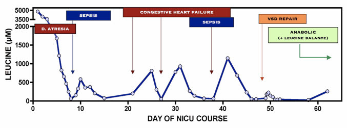 Figure 1. . Serial plasma leucine measurements over a 62-day NICU course in a Mennonite newborn with trisomy 21 and classic MSUD.