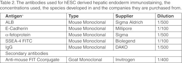 Table 2. The antibodies used for hESC derived hepatic endoderm immunostaining, the concentrations used, the species developed in and the companies they are purchased from.