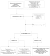 This figure depicts the study flow that contains the number of retrieved, included, and excluded studies. The investigators retrieved a total of 5,244 references from Medline, the Cochrane library, the website of the Federal Drug Administration, manual searches of reference lists, and other sources. They included 321 references and excluded the rest of the references because excluded studies examined target populations, treatments, or outcomes not eligible for the report. The review authors synthesized the evidence from 245 publications of randomized controlled clinical trials and 76 publications of non randomized studies.