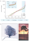 A two panel illustration showing patterns of human-associated microbial diversity