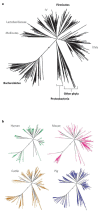 An illustration of the relationships between bacterial 16S rRNA gene sequences from the intestinal microbiota of animals