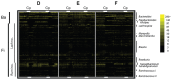 A heat map displaying the relative abundance of refOTUs in three prominent clades of bacteria