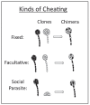 A diagram showing kinds of cheating