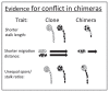 A diagram showing evidence for conflict in chimeras