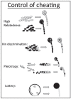 An illustration showing how cheating can be controlled if fruiting bodies are clonal