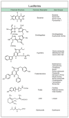 A chart showing the chemical structures of known luciferins