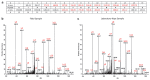 Two graphs show an example of overlap between field-collected and laboratory-reared fungus-garden samples