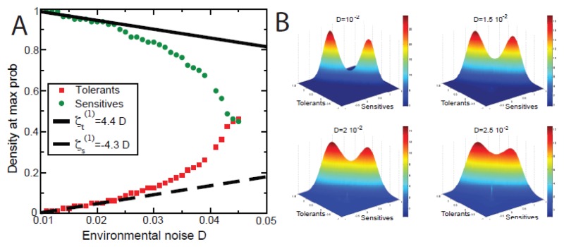 A graph showing the most probable bacterial density change with respect to the noise parameter and a plot of four different stationary distributions