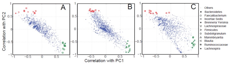 A plot of the correlation of two principal components for all phylotypes detected