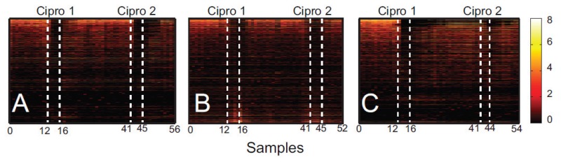 A three-panel illustration of Log2 abundance versus samples for all the phylotypes detected in each subject