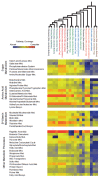 Graphical reconstruction of KEGG pathways generated from the leaf-cutter ant fungus-garden metagenomes