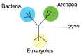 An illustration of the search for novel phylogenetic lineages