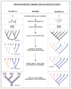 An outline of a phylogenomic methodology