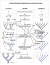 Phylogenomic functional prediction is based on concept of phylotyping with an overlay of an unrooted phylogenetic tree