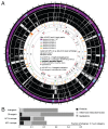 An illustration presenting a Citrobacter UC1CIT genomic overview