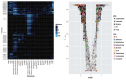 A graphical representation of a heatmap of abundance reads and a Volcano plot for expressions with transparency