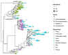 An OTU reference tree