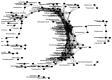 An illustration of a network of enterotype taxa co-occurring in at least 85% of the samples