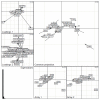 A large scatterplot of Procrustes and Co-Inertia Analysis of Cipro patients seen in their compromise-common projection