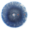 An image showing the dispersal of Streptomyces coelicolor spores facilitated by swarming P. vortex on a 14cm agar plate