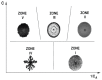 A morphological phase diagram depicting the five different qualitative behaviors shown by bacterial colonies growing under different agar and nutrient concentration