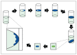 A diagram of the putative life cycle for mat-forming bacteria