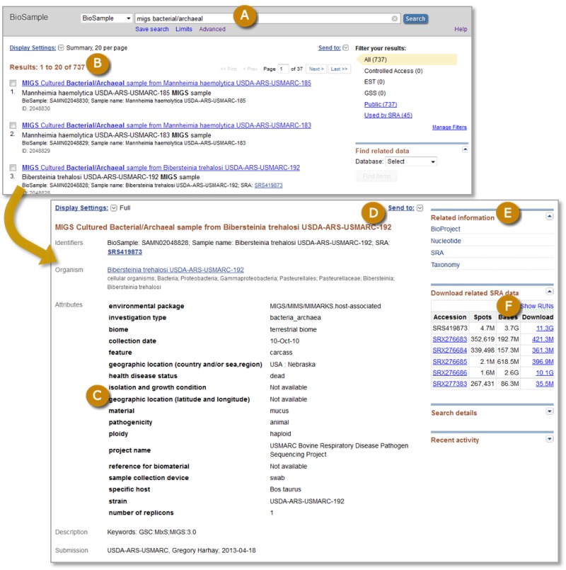 Figure 1. . Screenshots of BioSample search results (top panel) and a full BioSample record (bottom panel).