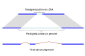 Figure 1. . Splign reduces the computational complexity by using the high identity portions of the hits (dark blue) for the bulk of the alignment and realigning only small portions of the transcript (light blue).