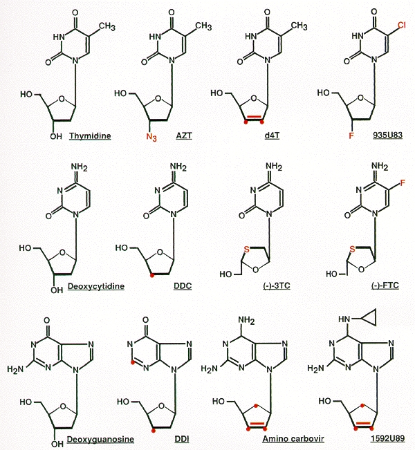 Figure 10. Nucleoside RT inhibitors.