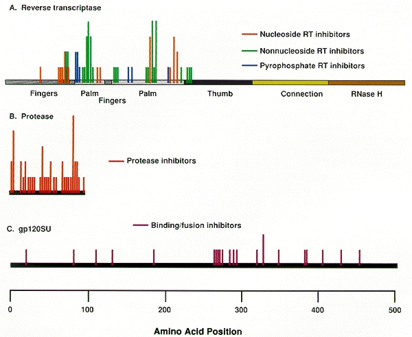 Figure 11. Distribution of mutations associated with drug-resistant HIV-1.