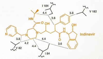Figure 17. The interactions of the protease inhibitor indinavir (color) with the valine (V) and isoleucine (I) residues at PR positions 82 and 84, respectively (shown in black), within the HIV-1 protease-active site.