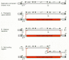 Figure 5. Strategies for packaging cell line construction.