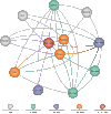 Figure 1. The original version of Entrez had just 3 nodes: nucleotides, proteins, and PubMed abstracts. Entrez has now grown to nearly 20 nodes.