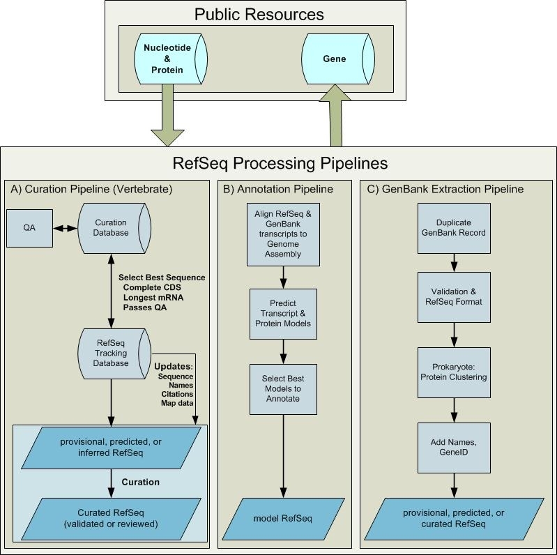 Figure 2. . RefSeq Processing Pipelines.