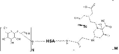 Image GSA_structure.jpg