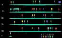 Figure 5. Map of the Drosophila ABC genes.